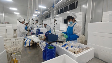 安圖生物 鉚足干勁抓生產(chǎn)，奮力沖刺生物制品“開門紅”